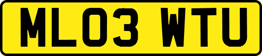 ML03WTU