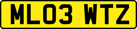 ML03WTZ
