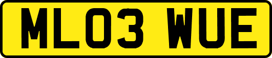 ML03WUE