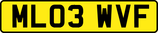 ML03WVF