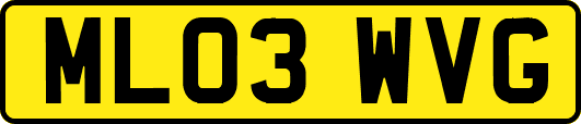 ML03WVG