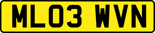 ML03WVN