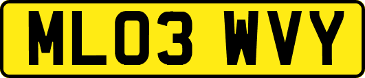 ML03WVY