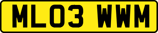 ML03WWM