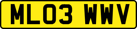 ML03WWV
