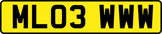 ML03WWW