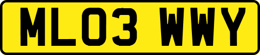 ML03WWY