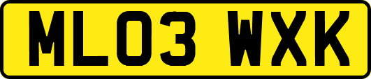ML03WXK