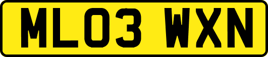 ML03WXN