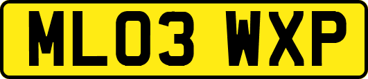 ML03WXP