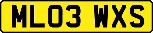 ML03WXS