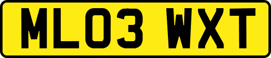 ML03WXT