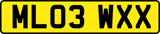 ML03WXX