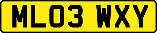 ML03WXY