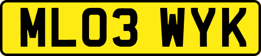 ML03WYK