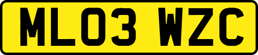 ML03WZC