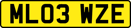 ML03WZE
