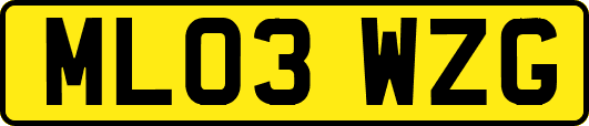 ML03WZG