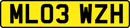 ML03WZH