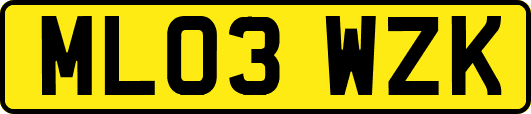ML03WZK
