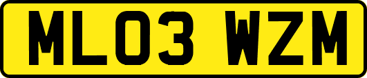 ML03WZM