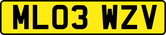 ML03WZV