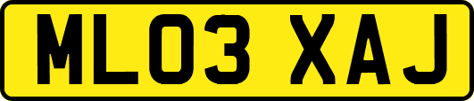 ML03XAJ