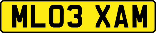 ML03XAM