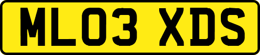 ML03XDS