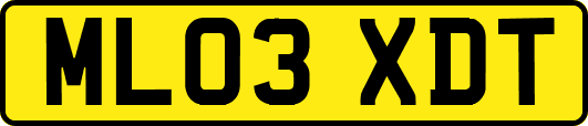 ML03XDT