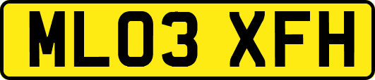ML03XFH