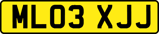 ML03XJJ