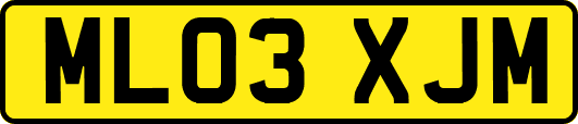 ML03XJM