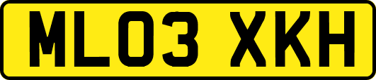 ML03XKH