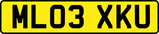 ML03XKU