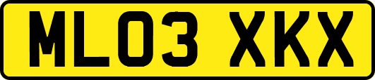 ML03XKX