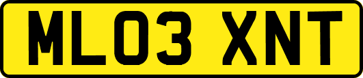 ML03XNT