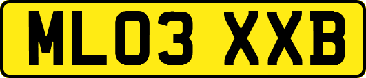 ML03XXB