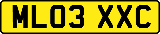 ML03XXC