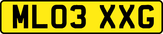 ML03XXG