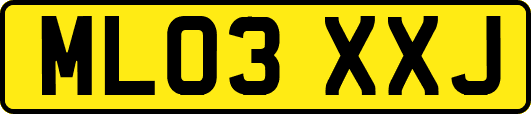 ML03XXJ