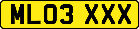 ML03XXX