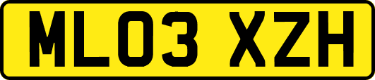 ML03XZH