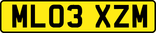 ML03XZM