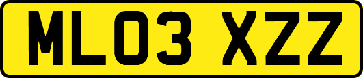 ML03XZZ