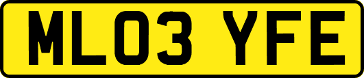 ML03YFE