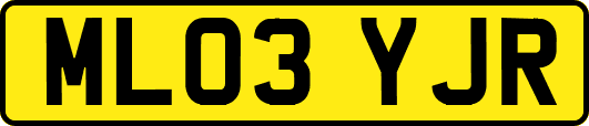 ML03YJR
