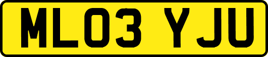 ML03YJU