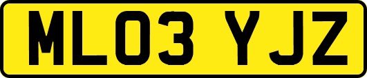ML03YJZ