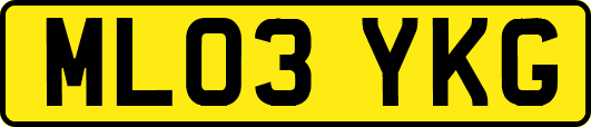 ML03YKG